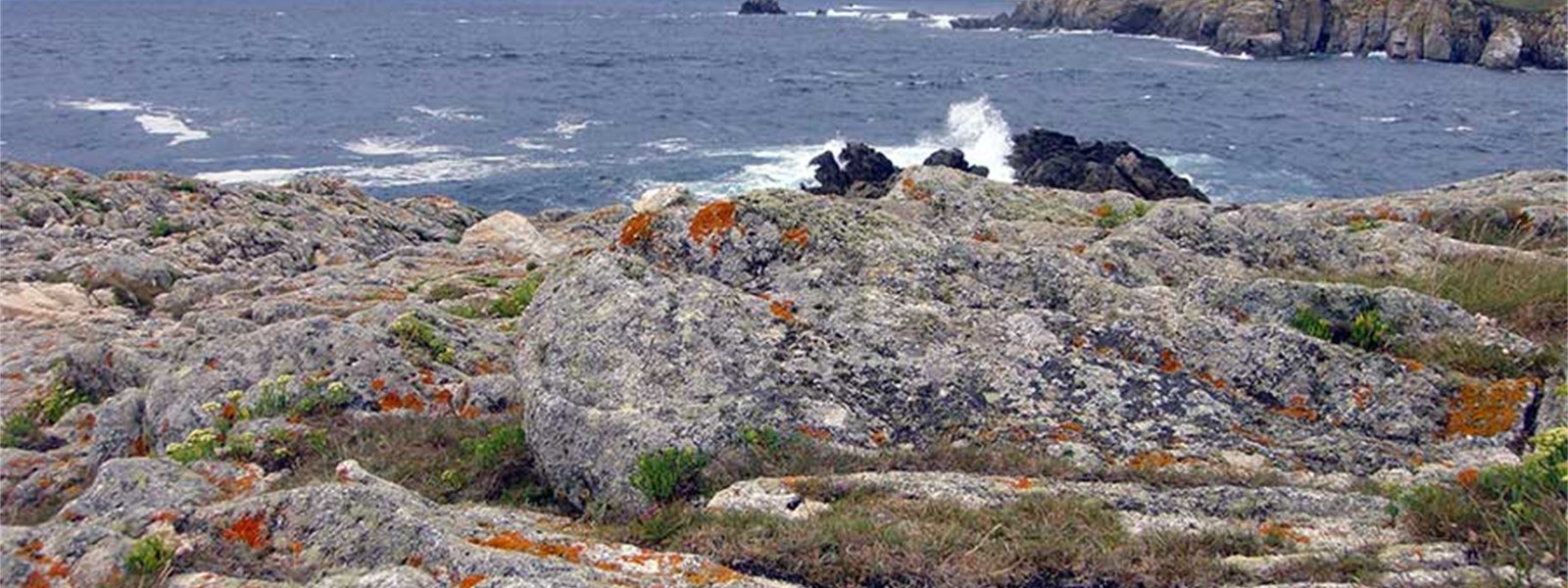 dsc01438_2