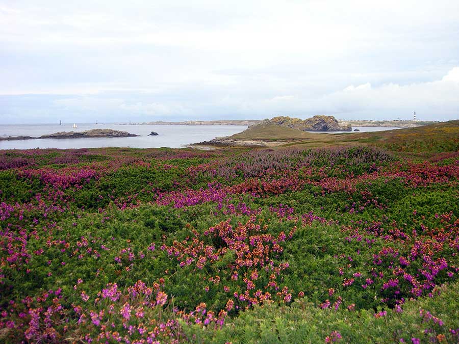 Ouessant