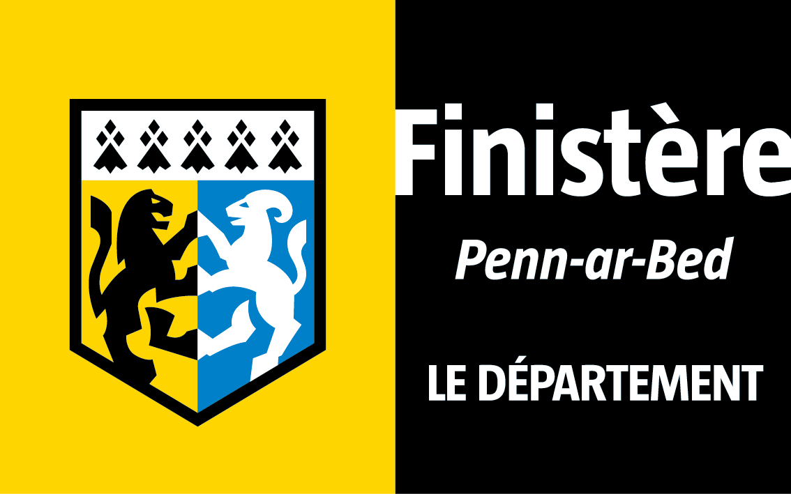 Conseil général 29